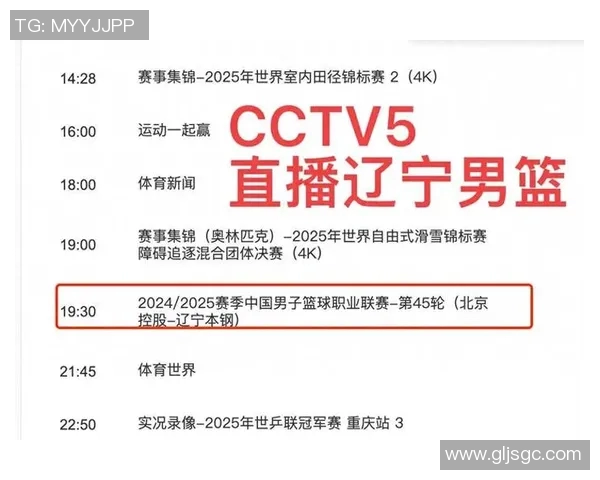CCTV体育频道NBA直播：赛事回顾、球员分析、战术解读与观众互动